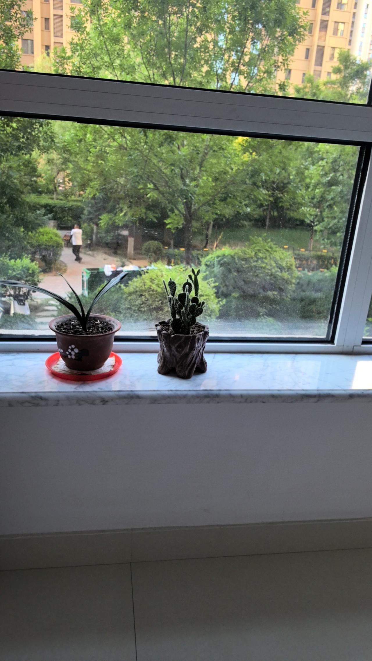昨天下午，在呼和浩特市新城区的一个小区里，两名房地产中介领着4个人看房子，其中一