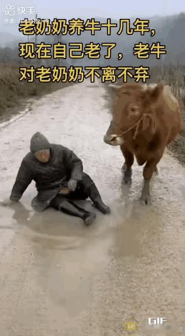 善良，是一个人身上最好的风水。种瓜得瓜，种豆得豆。付出善良，收获温暖。

古人云