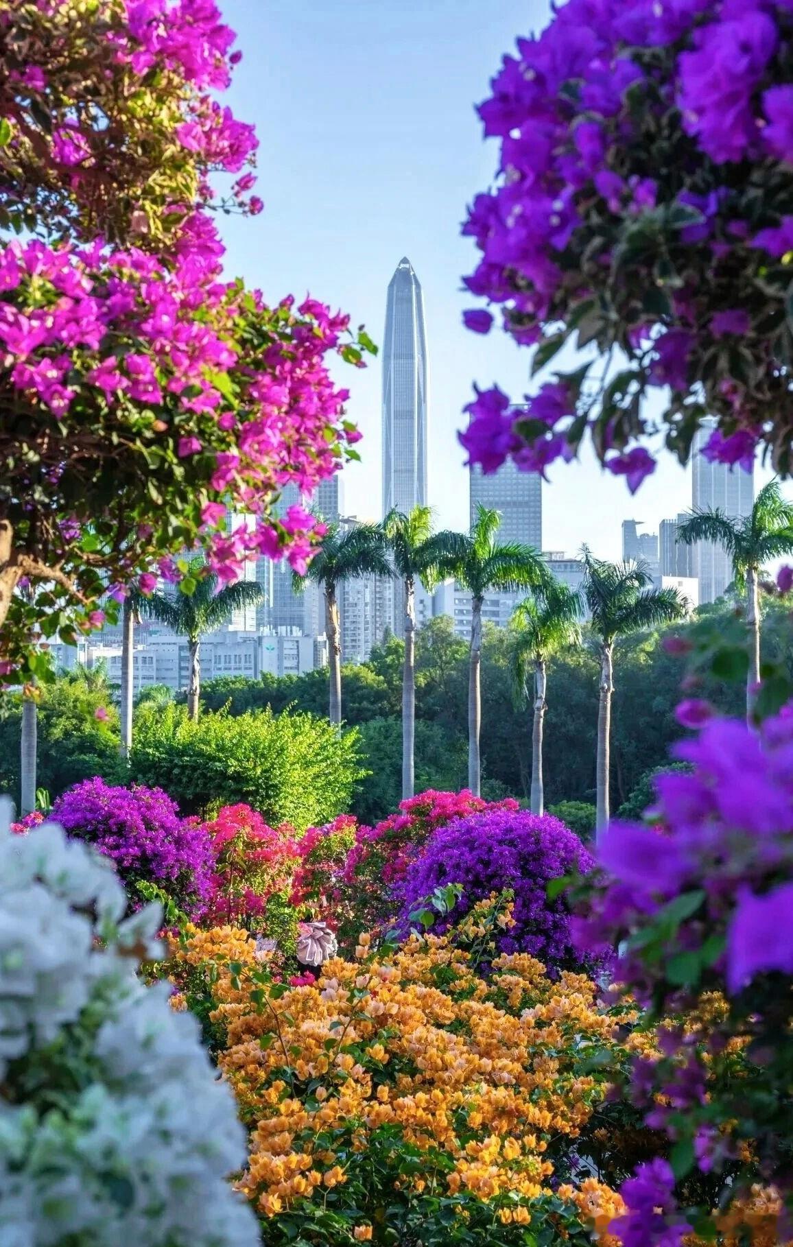 今天介绍四种极简的写作方法，能快速出书一是卡片写作法，分类收集精要的观点，集卡形