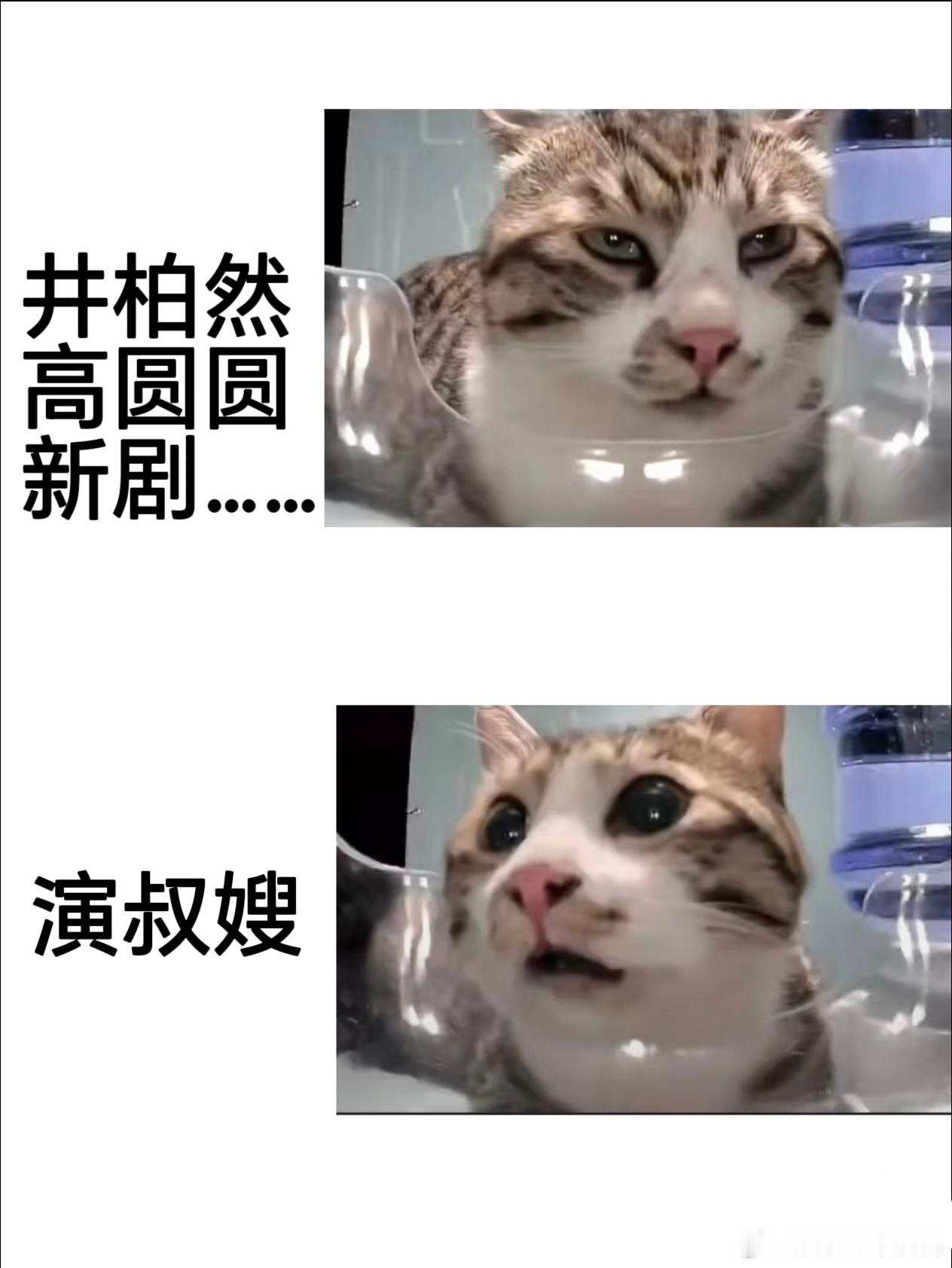 井柏然高圆圆不演cp演叔嫂 两个高颜值演员主动转型！井柏然高圆圆演起大院叔嫂，接