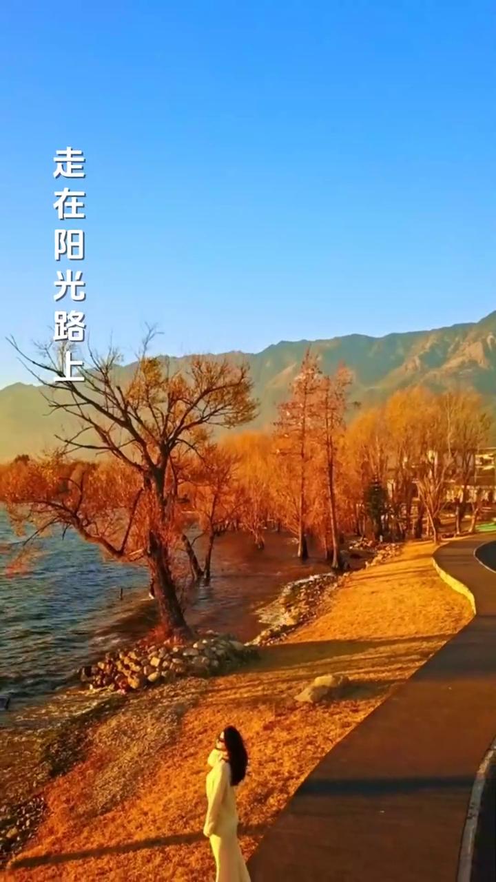 阳光路上。
制片人：芙蓉传媒。
走过了春和秋，花儿用笑脸告诉我天空好晴朗。多少追