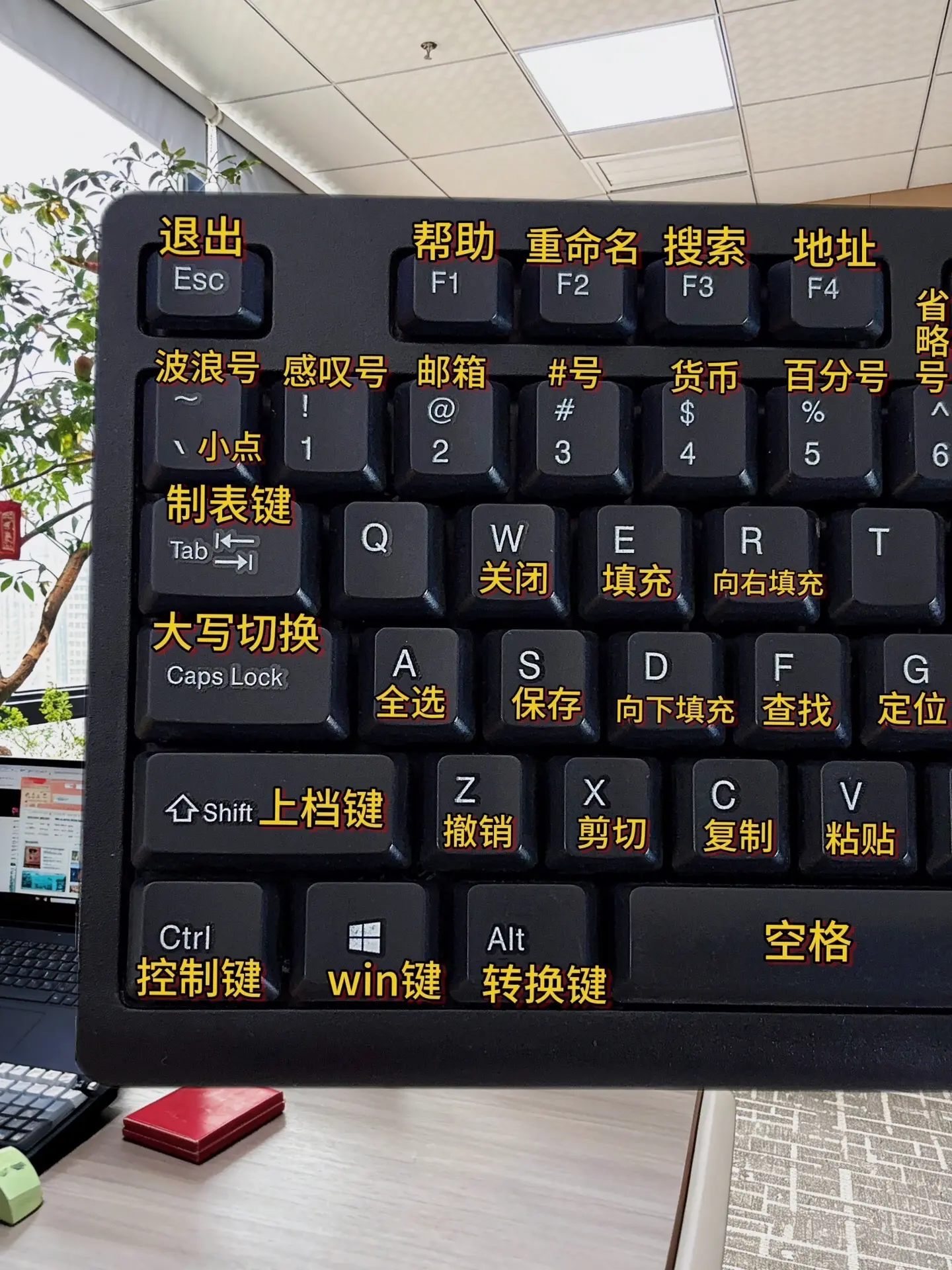 😭终于有人把电脑键盘一次性讲明白了。