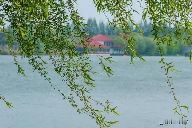 《七律  即兴遣怀》
柳绿桃红染碧湾，春归大地展新颜。
山娇水媚风樯动，日暖风和