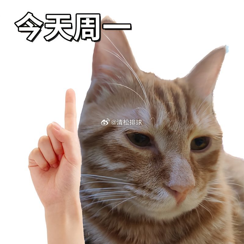 早安清松排球🏐清松排球的早安