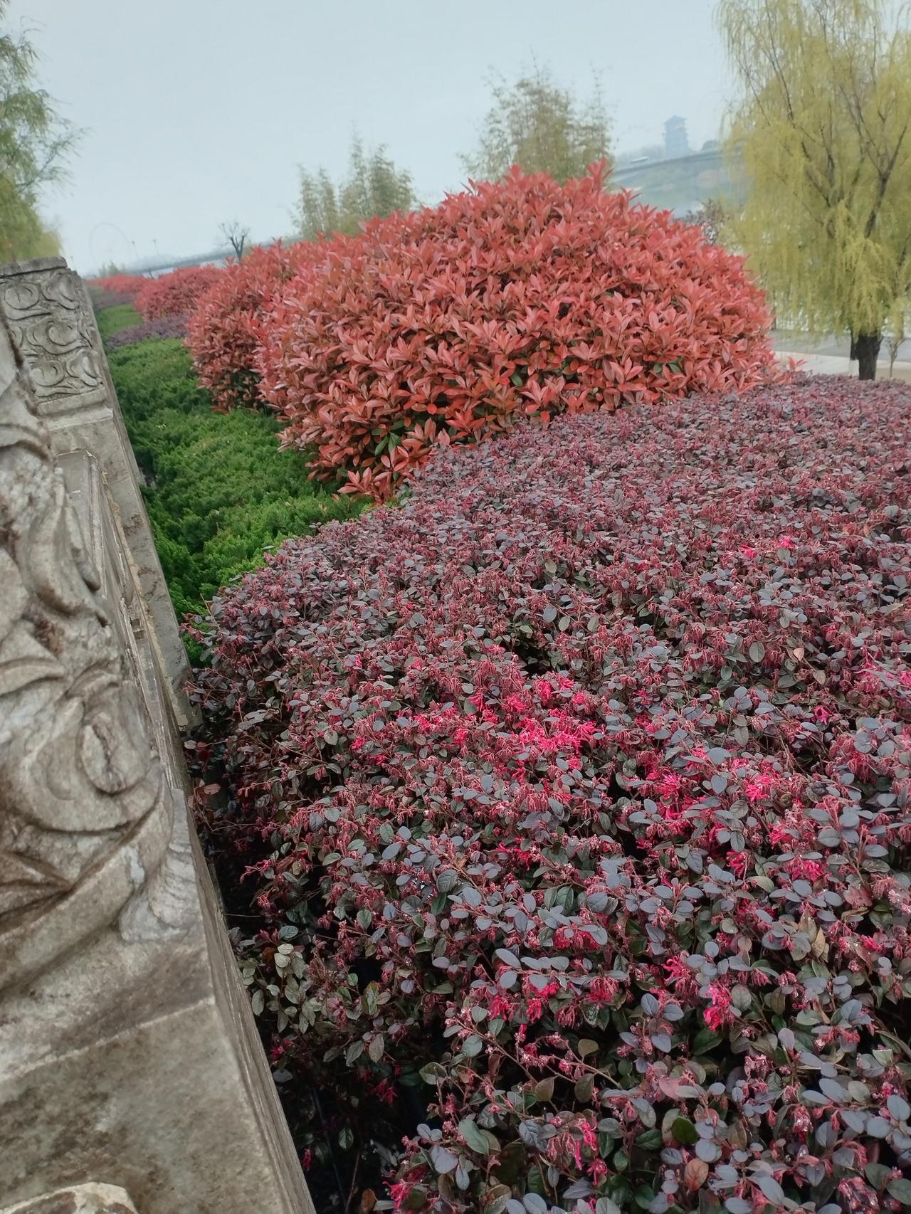 春野藏心愿，烟火漫温柔


我将优化这段关于春日心愿的散文，使其更贴合暖心文艺的