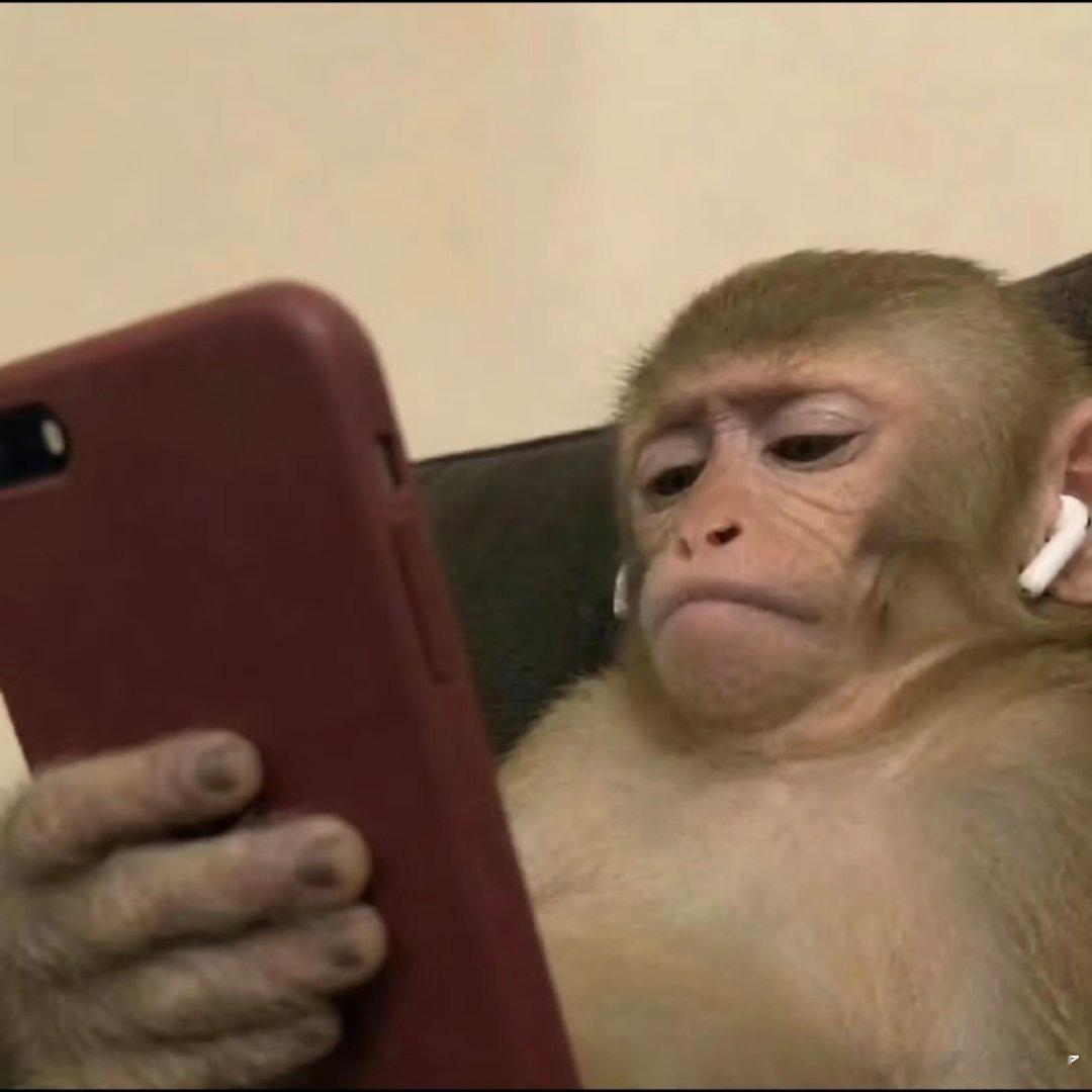 下班回到家时的我belike ​​​