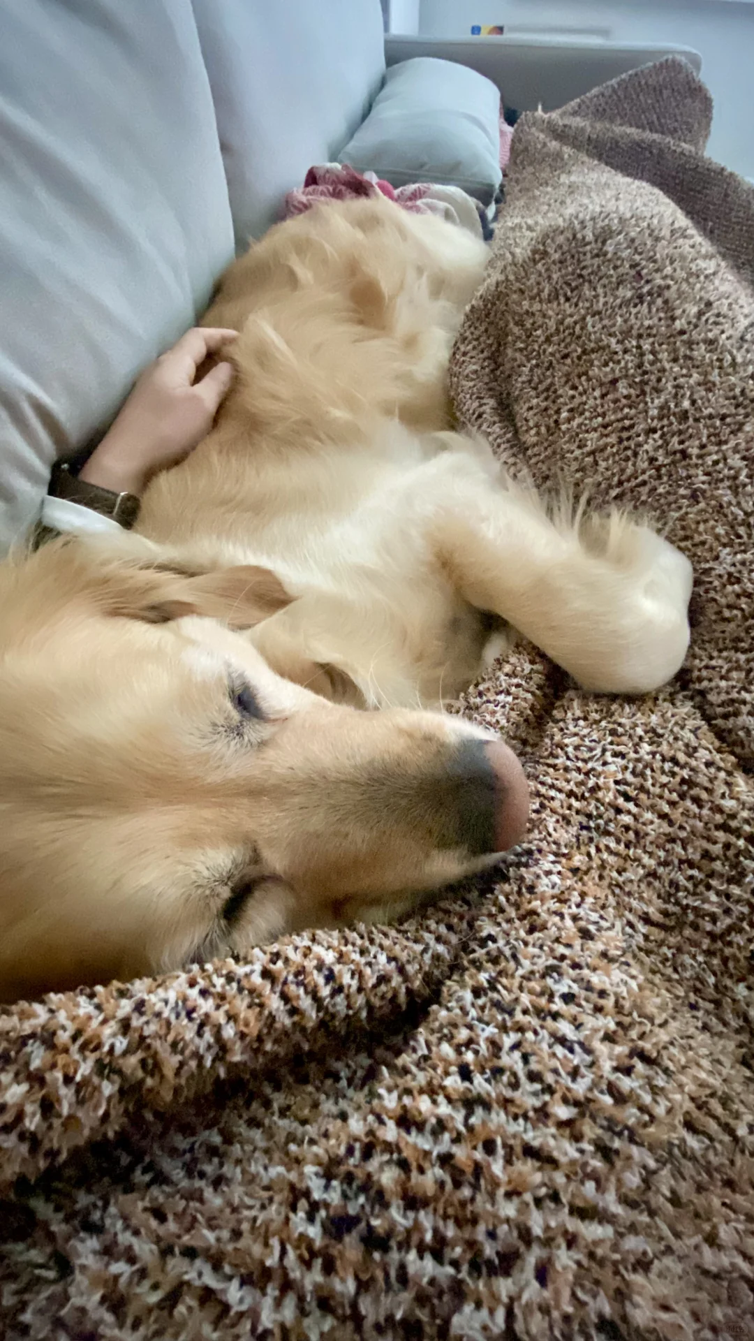 My dog is the best medicine for me