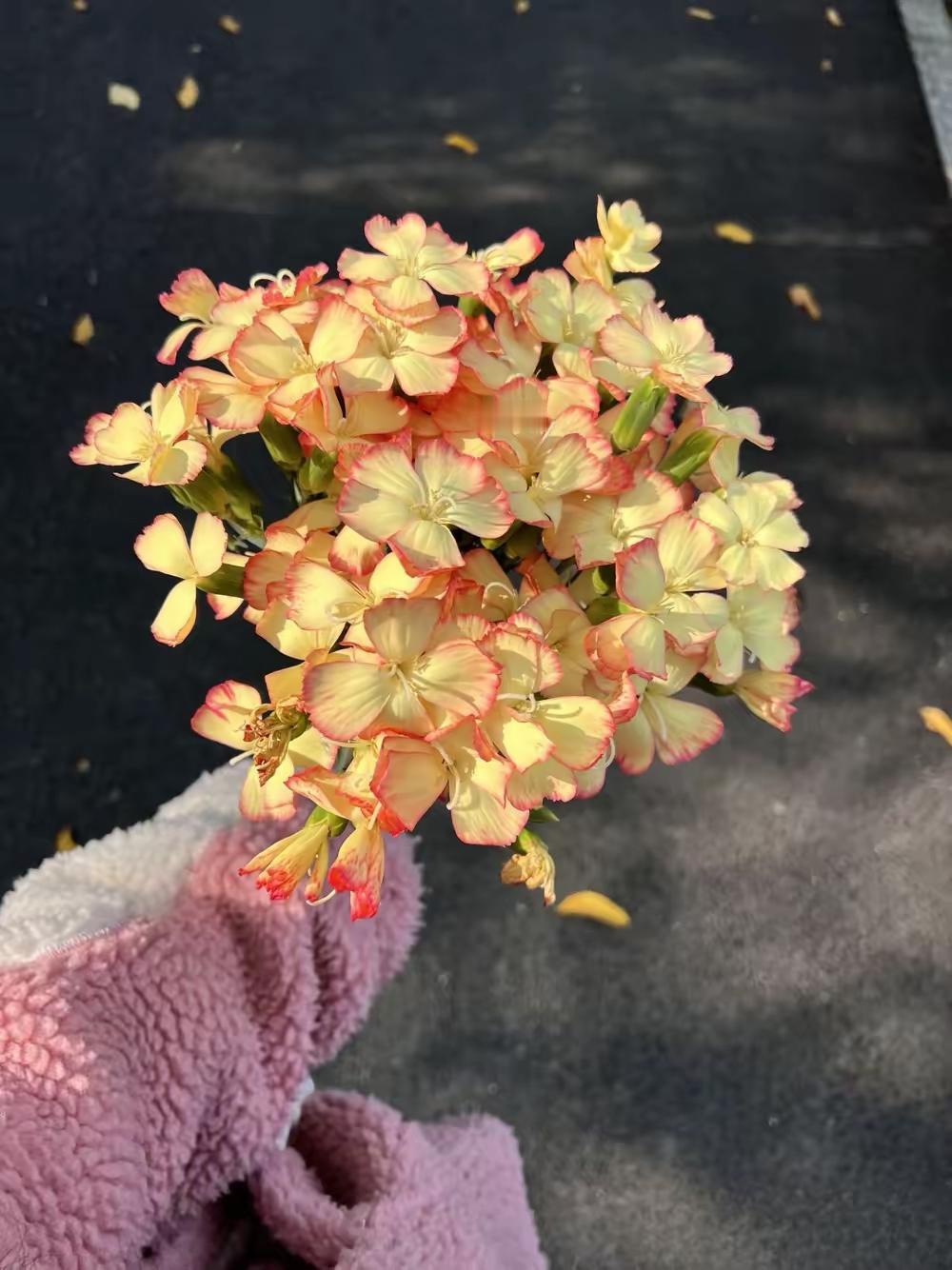 孩子真的不是你的全部呀！35岁的王妈妈前阵子突然明白：先好好爱自己，才是对孩子真