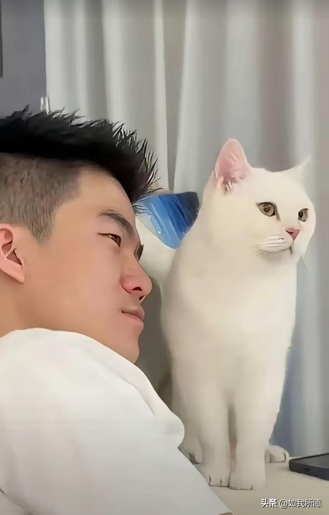 这年头能被张艺谋盖章认可，
那可不容易，
尤其还是“在商不言商”这种评价。

董