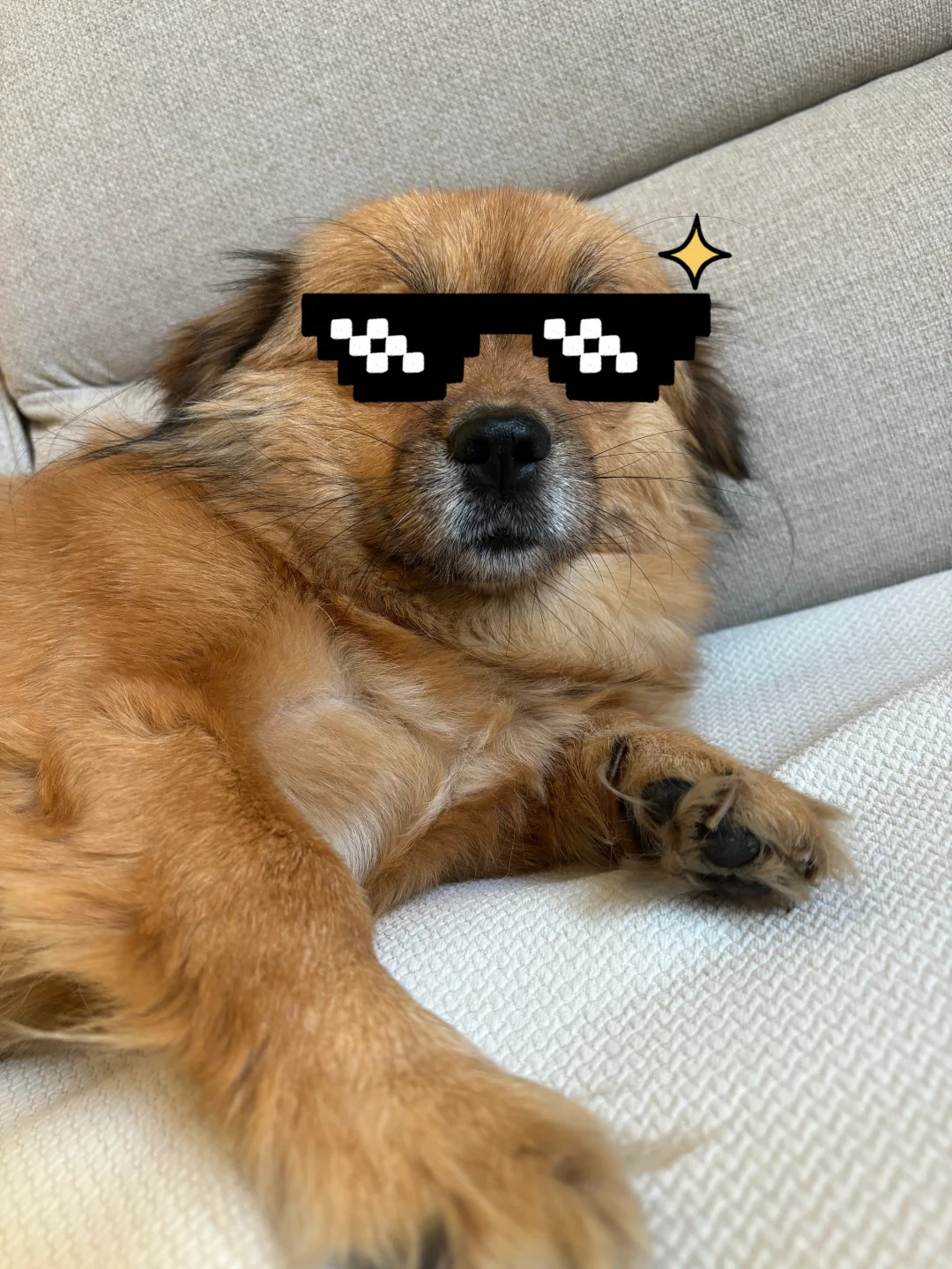 祝大家中秋快乐哇