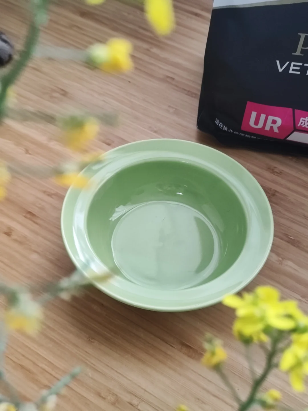这个绿猫碗也太耐看了!种🌿!
