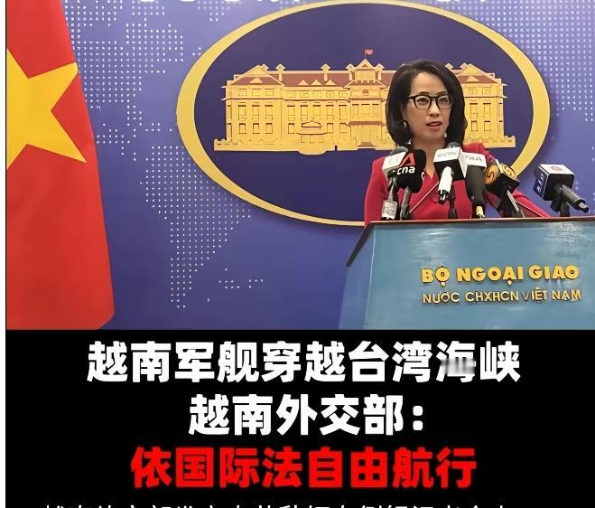越南军舰通过台湾海峡，中日双方交恶之际，越南却出来恶心人，有没有一种想打死它的心