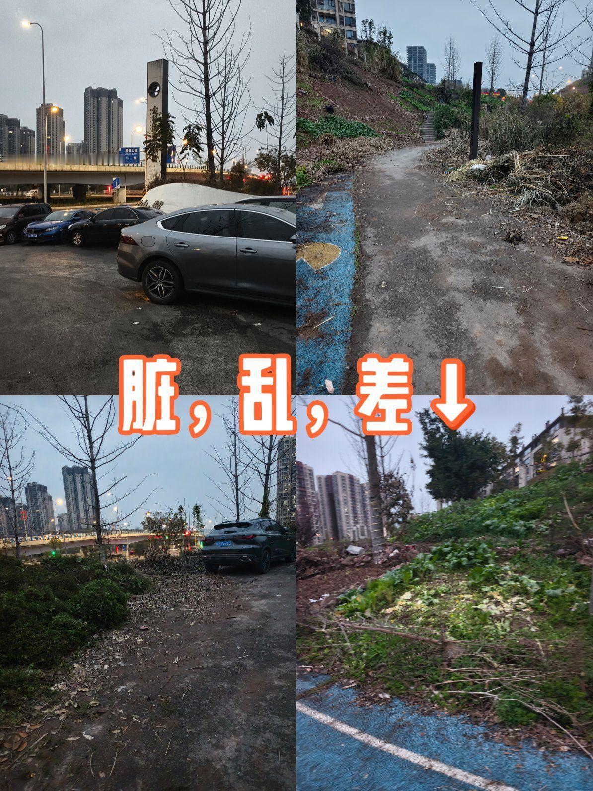 昆明网民向领导留言反映官渡某高密度区域疏于管理环境卫生乱象

近日昆明网民通过人