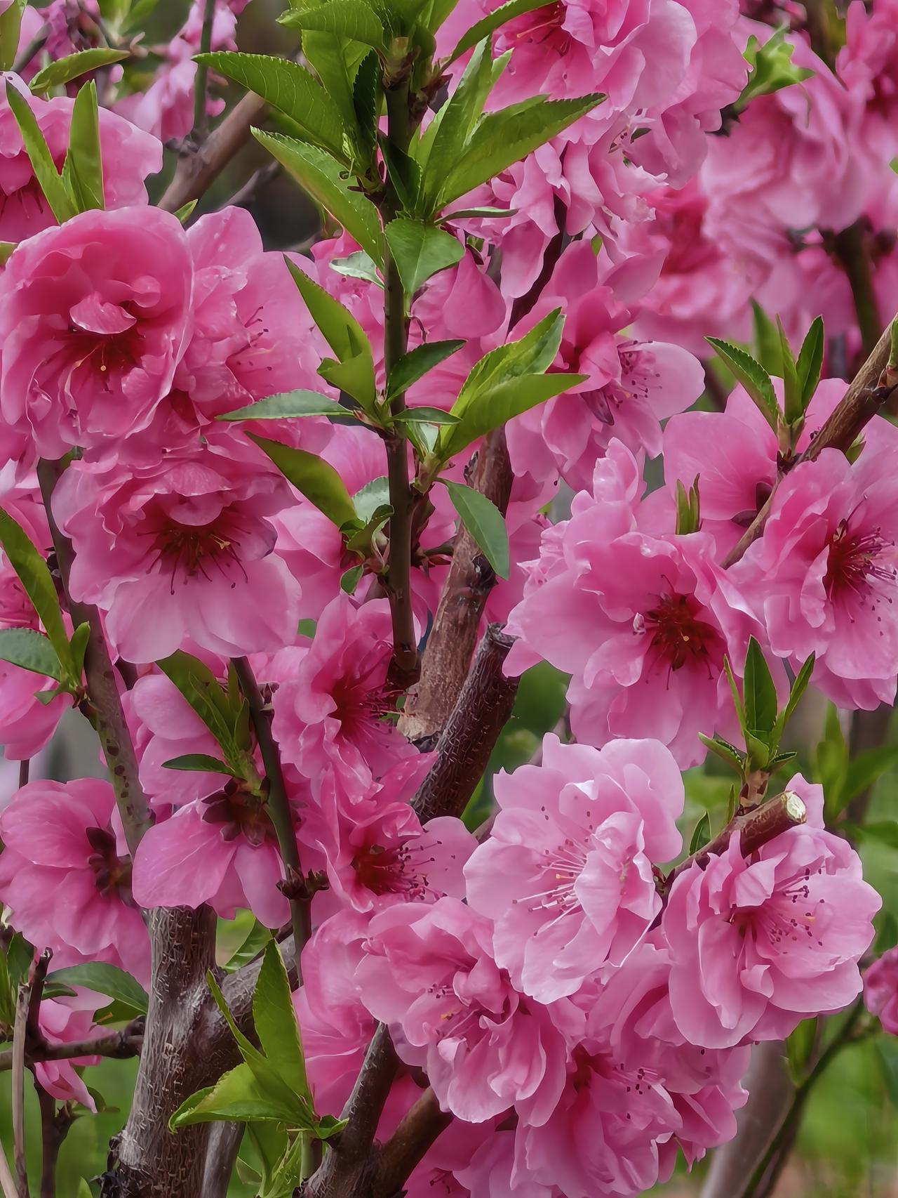 昨天和朋友聊天，感慨颇深。说来说去都说不明白现在这么累是为了什么？虽然来到了大城
