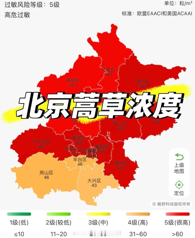 九月开学以来，秋季花粉过敏一下子就严重了。出门鼻子发痒不停流鼻涕打喷嚏，眼睛也总