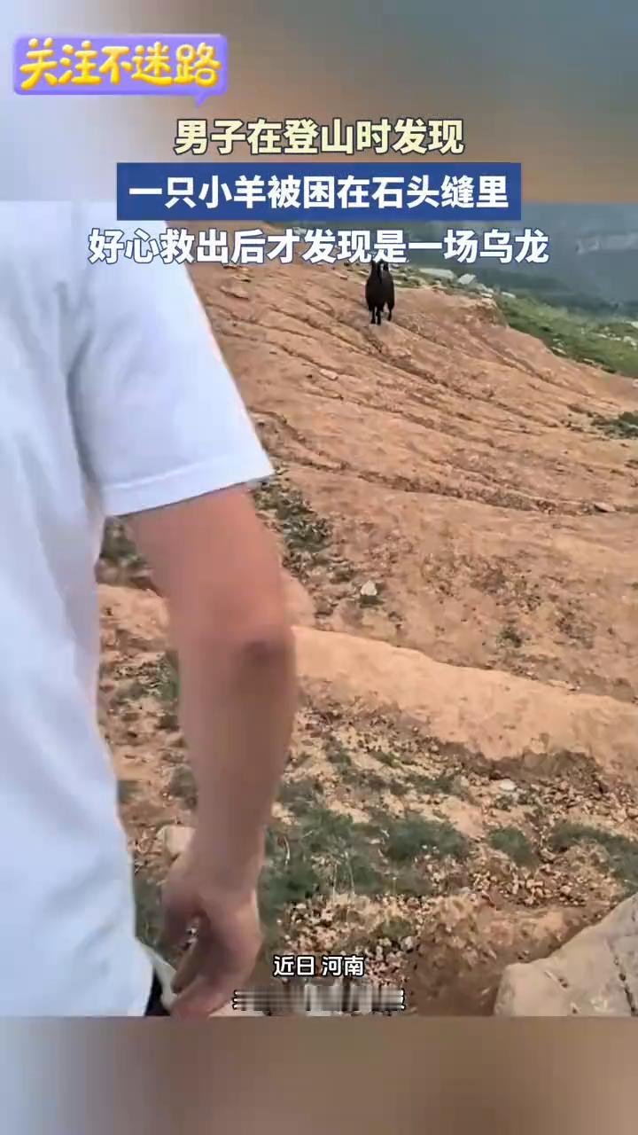 这个羊妈妈一直在这蹦蹦蹦。