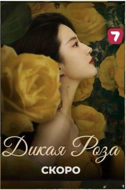 视听中国全球播映——春季展播季数据回顾：春节期间，刘亦菲《玫瑰的故事》在俄罗斯、