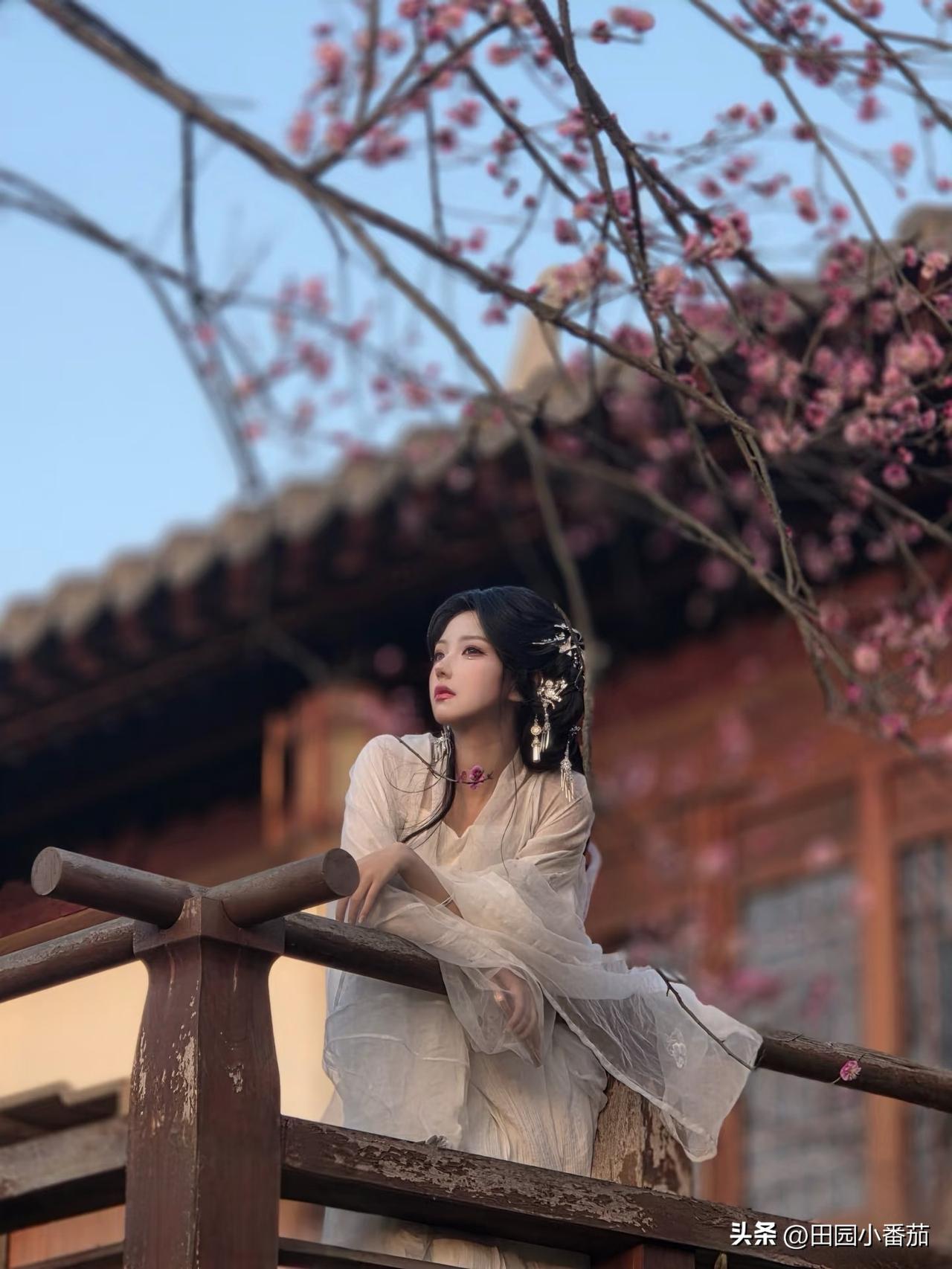 与春争三分
折枝已是冬
执念留不住
风过尘事空
写真温柔美少女 少女的唯美写真