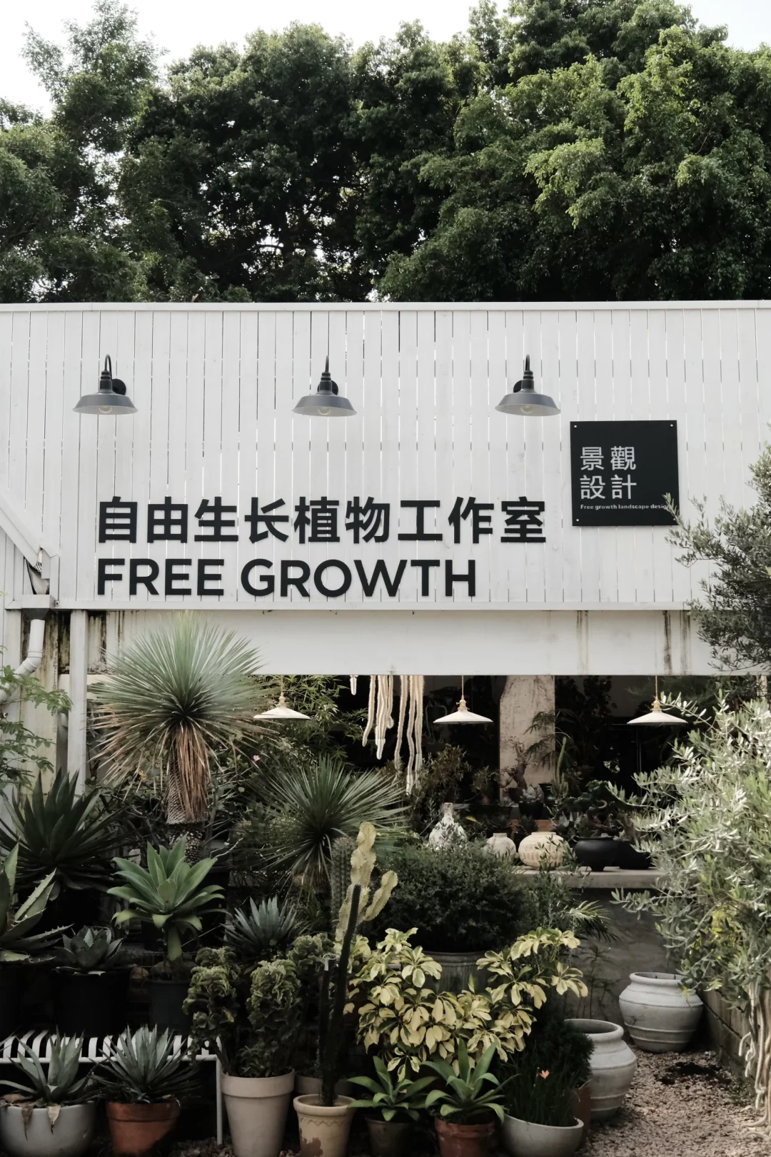 深圳植物店招聘｜热爱植物的景观设计师
