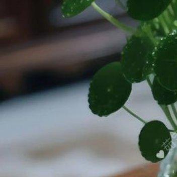 感谢曾经帮助过我的人，感谢一路相伴；感谢曾经伤我的人，是你们让我更加坚强，孤独的