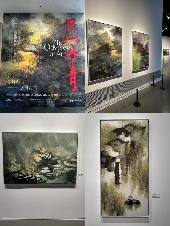 刘海粟美术馆《只此丹青》画展🎨免费！人少！