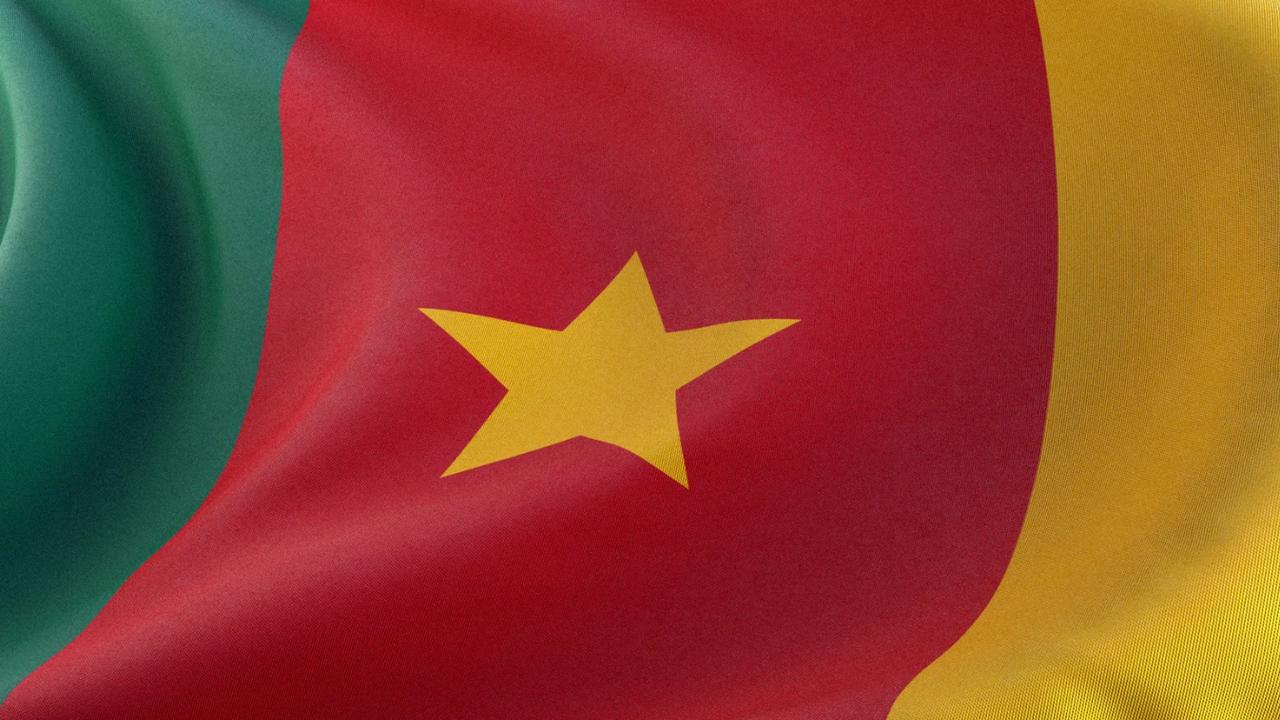 九旬总统“隐身”超两月，喀麦隆权力真空引担忧
 
 
 
喀麦隆总统比亚境外滞留
