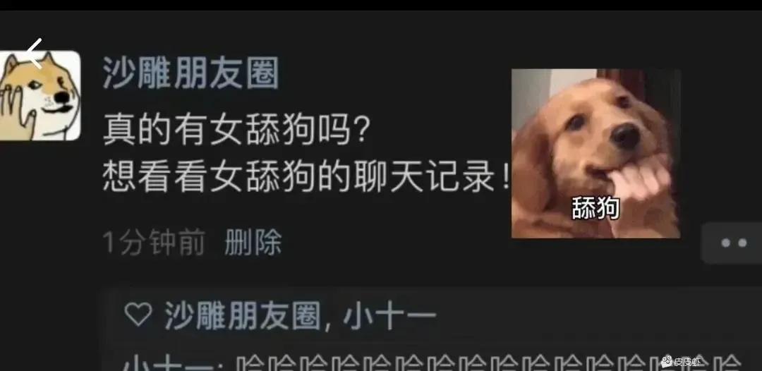 我也想看女舔狗