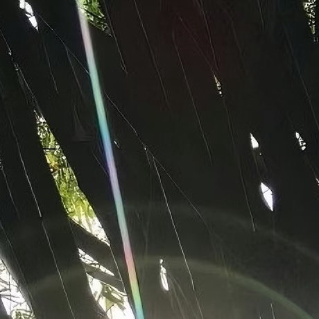 每日一善  阳光信用看淡一点再努力一点，无论生活怎样，都不要忘记微笑，愿你成为自