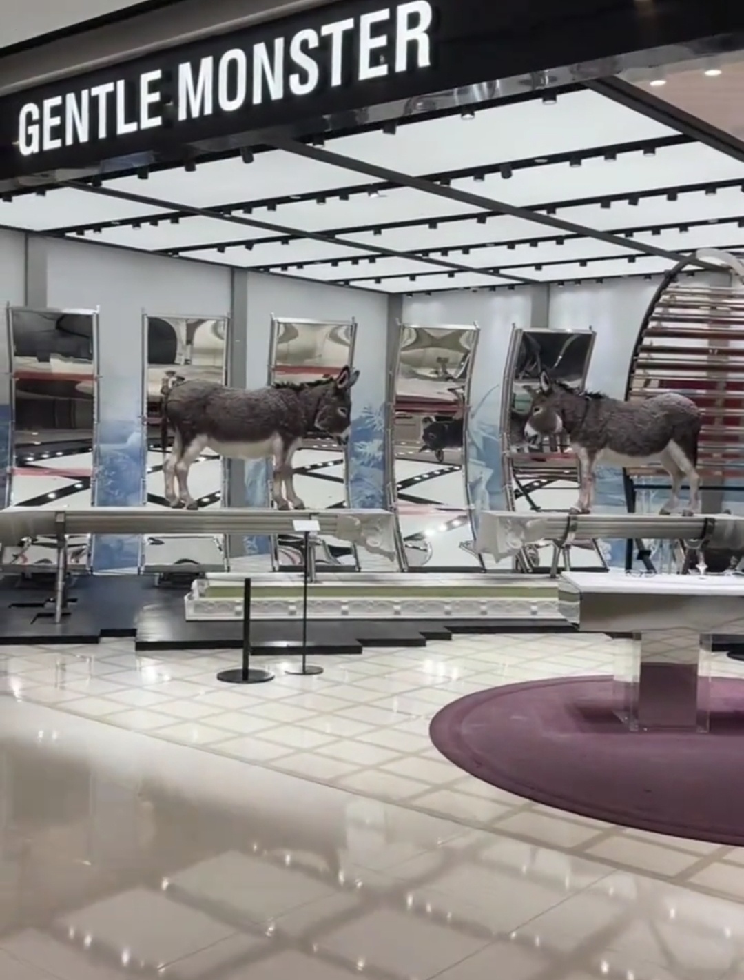 GM和金珍妮的代言到期后怎么换成了队友朴彩英 ​​​