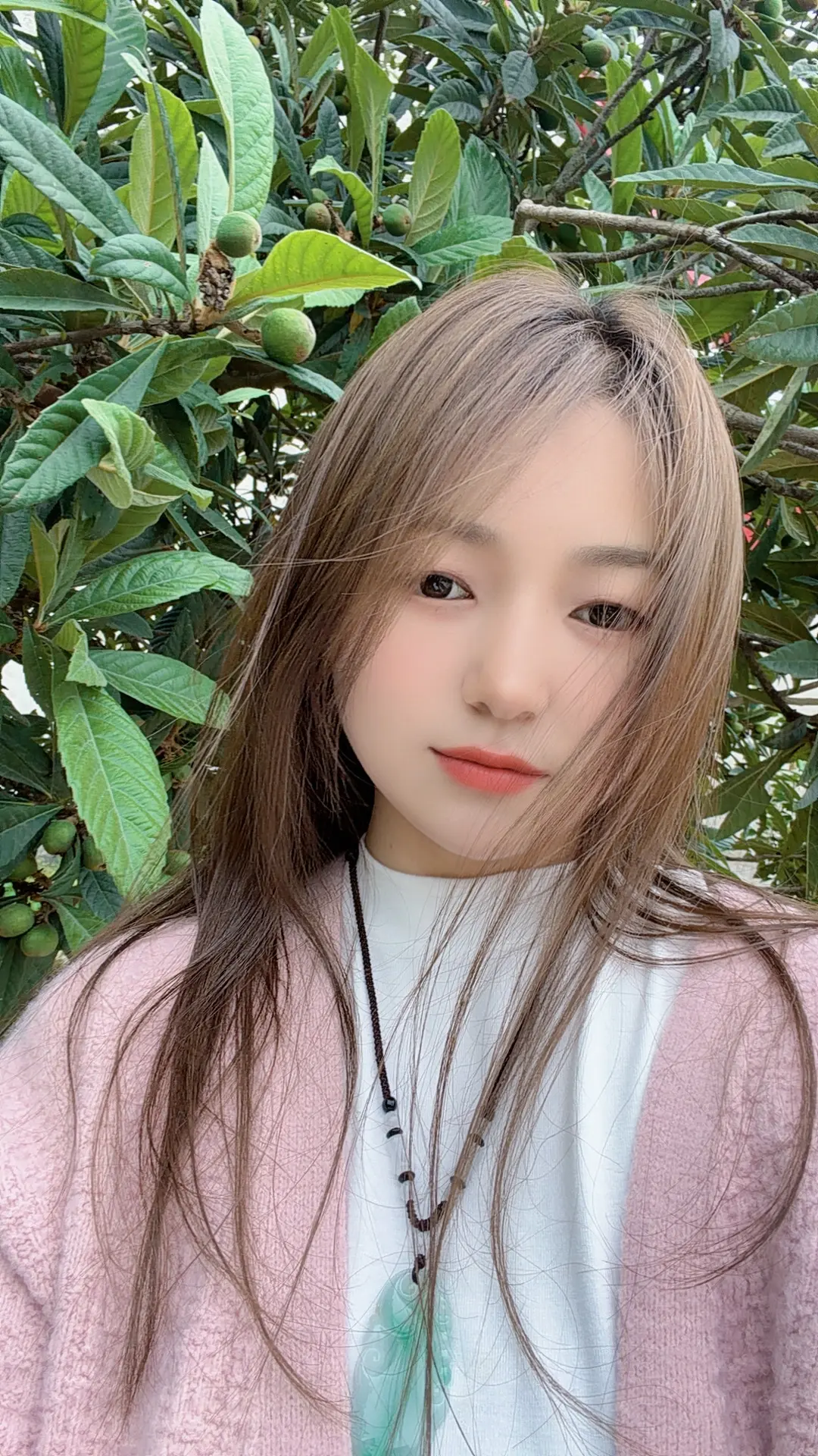 显老