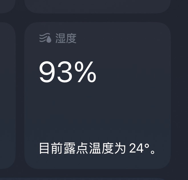 杭州这湿度，难怪热带雨林的感觉又回来了