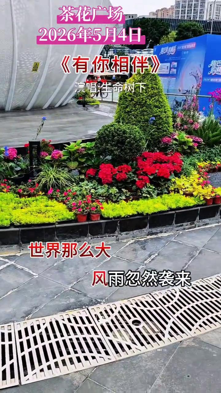 走过很远的路，看过很多人海。
茶花广场。
2026年5月4日，《有你相伴》演唱：