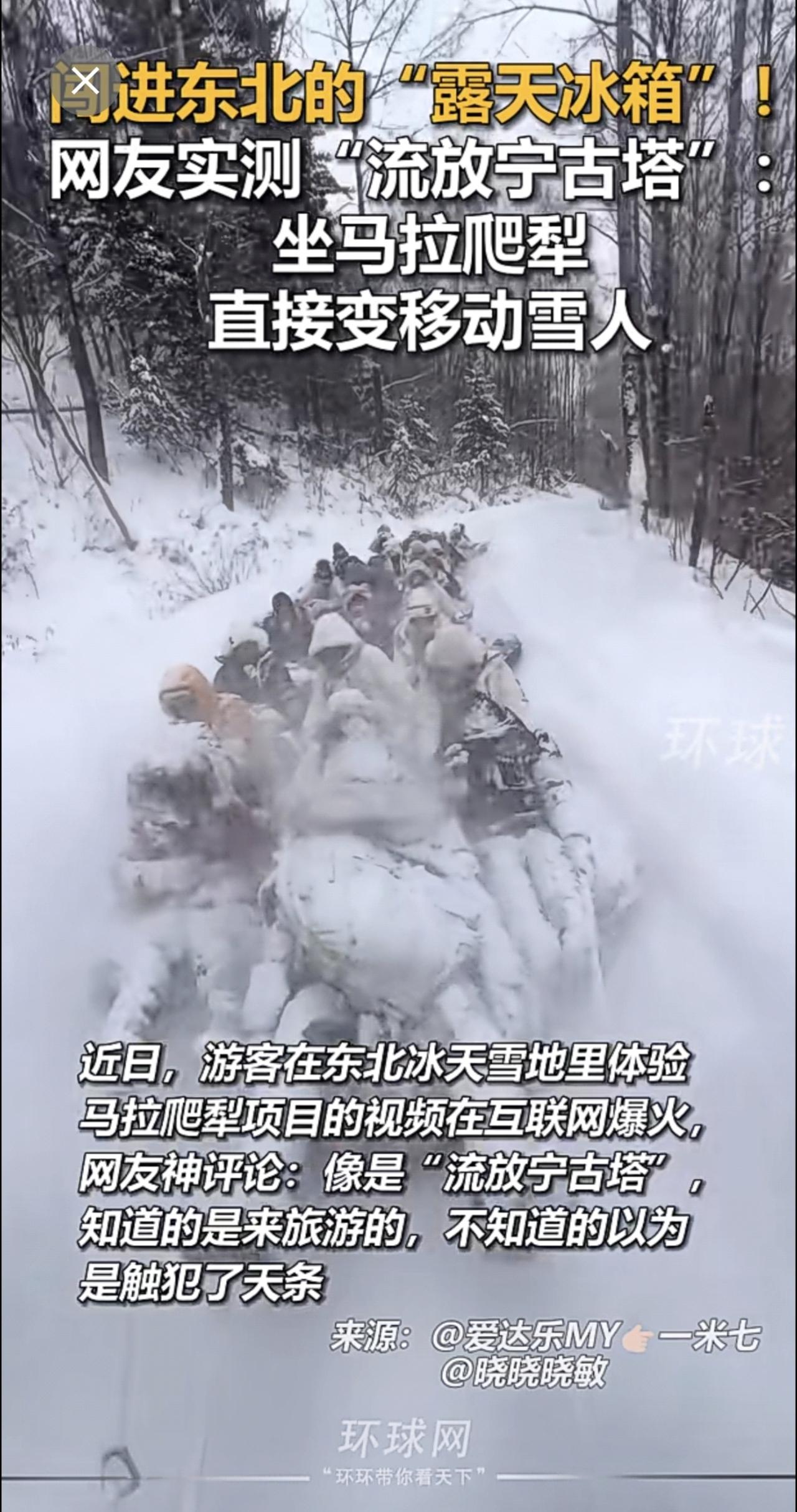 闯进东北的“露天冰箱”！网友实测“流放宁古塔”：坐马拉爬犁，直接变移动雪人