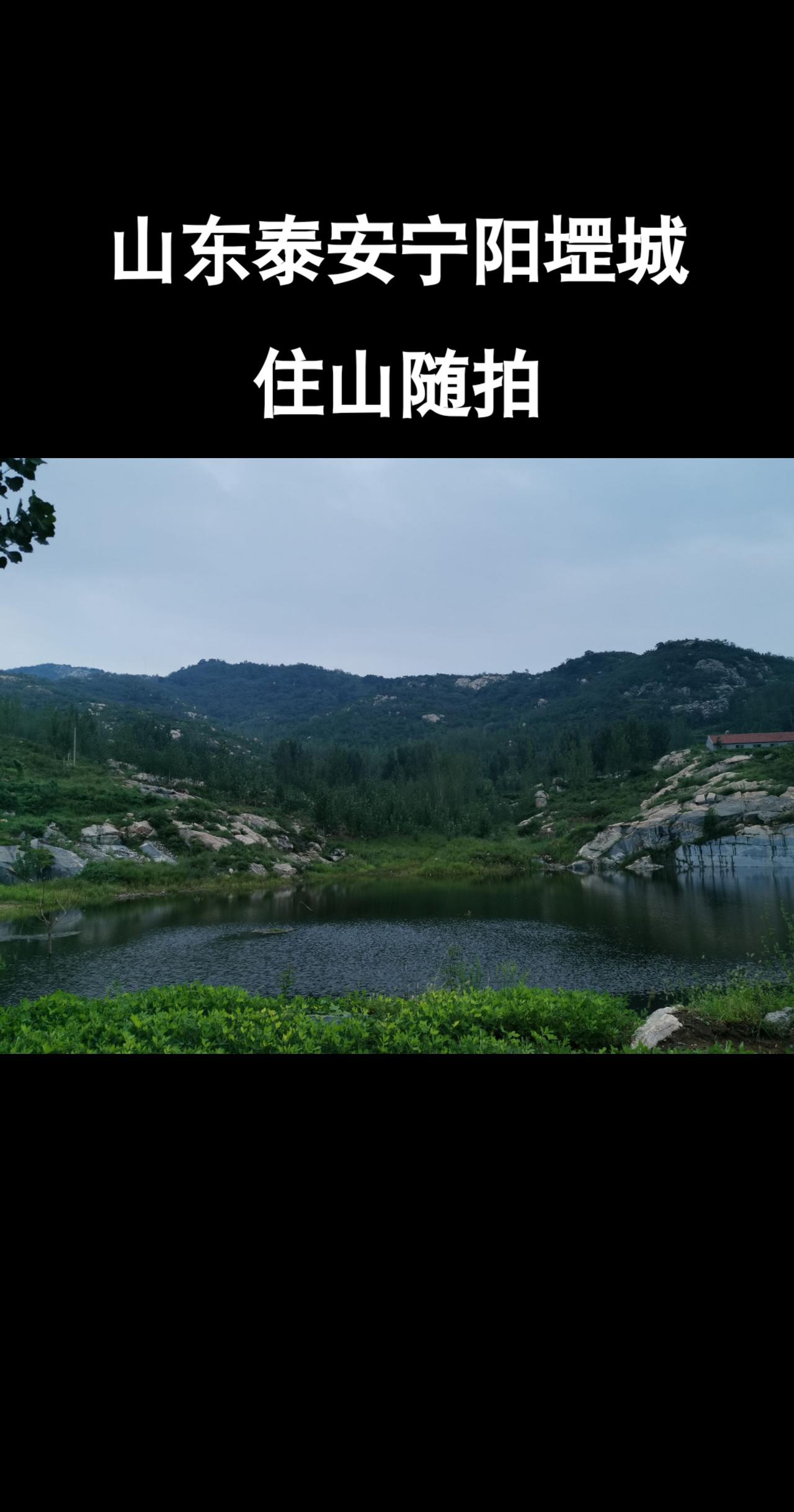 山东泰安宁阳风景故乡