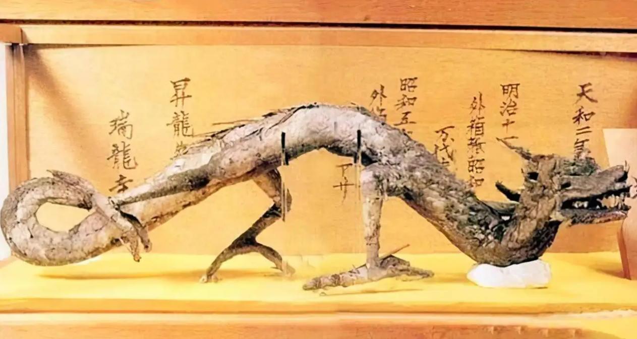 日本曾声称瑞龙寺藏有真龙标本，但一直被外界怀疑，那专家为何迟迟不用DNA技术检验