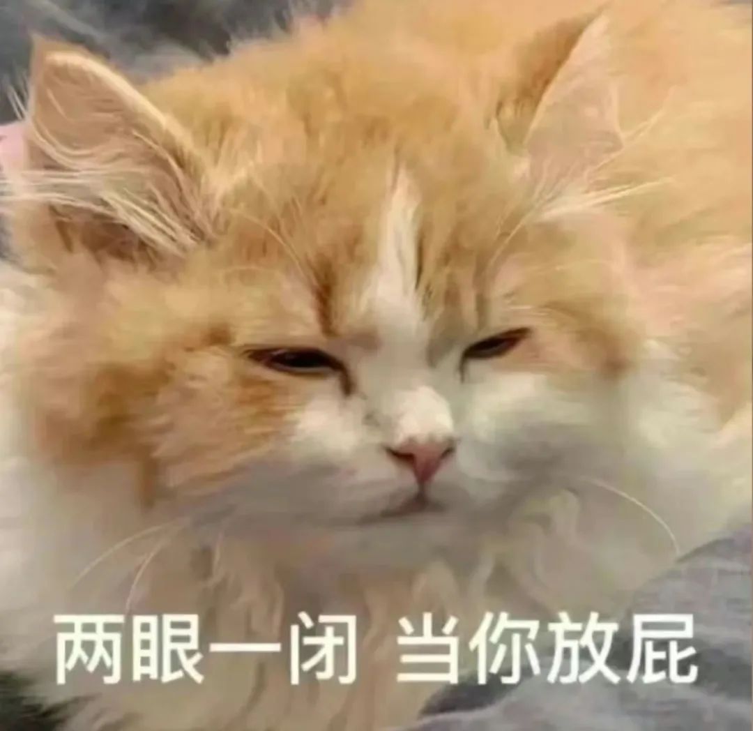 今天的表情包有些过分喜欢(●'◡'●)！ 更新不易，拿图点赞[心]更多表情包请看