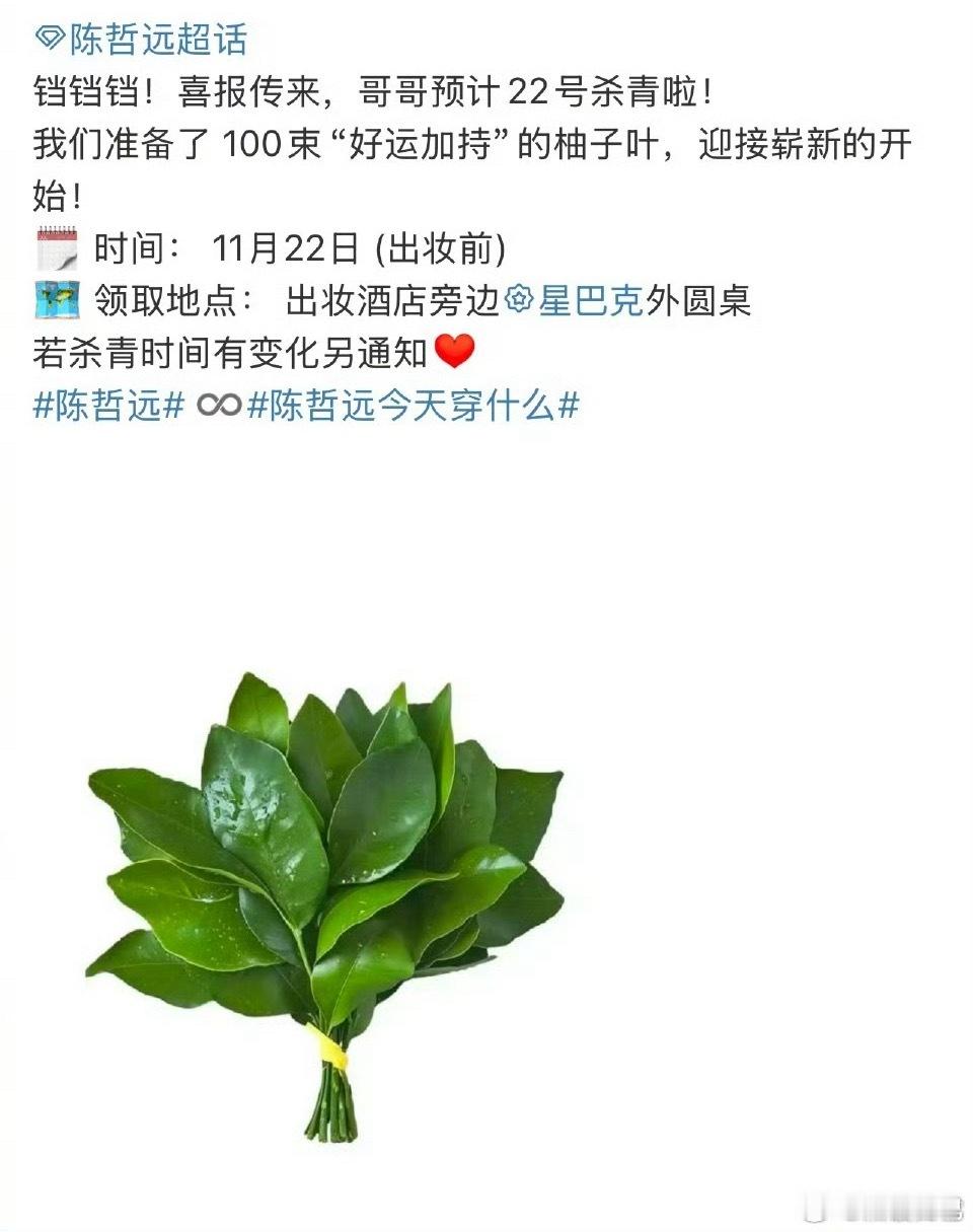 陈哲远江山为聘杀青花束是柚子叶