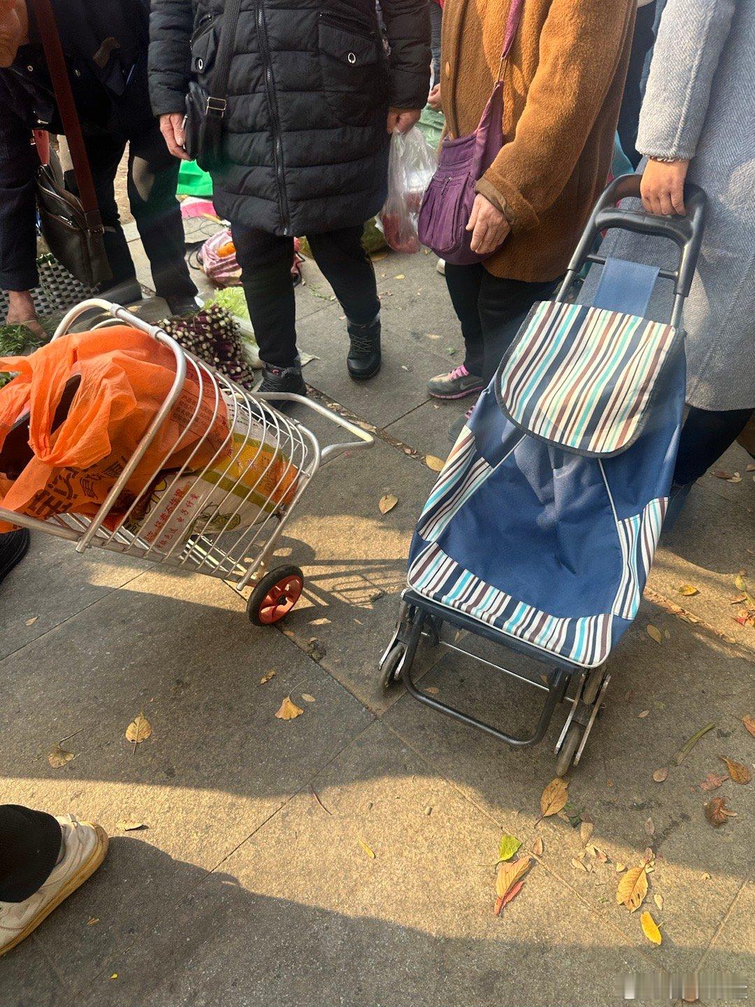地铁上好多爹爹婆婆拉着推车来江夏采购这里菜场的菜并不便宜有些蔬菜是自己种的可能大