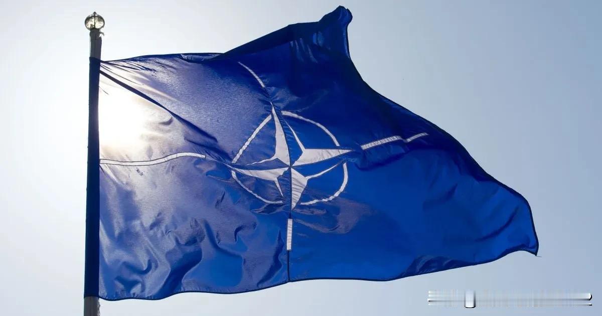 不想再中立：又有国家，因惧怕俄罗斯，而想加入北约


奥地利外交部长迈因尔-赖辛