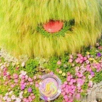 每日一善阳光信用 🌞阳光信用 不能接受失败，也意味太想去成功了，从心理学上解释