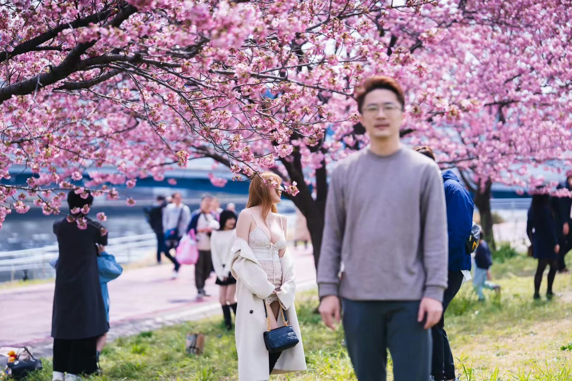 怪不得相机都在搞AI对焦，它懂得真正的风景 