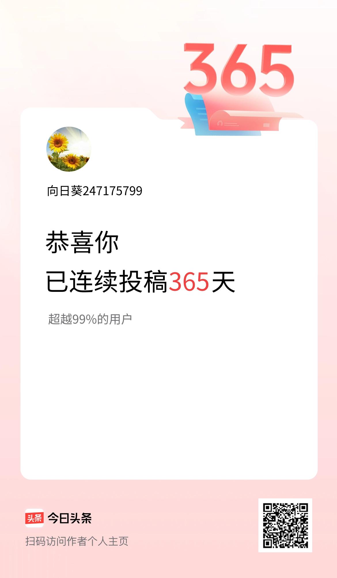 我在头条连续投稿365天