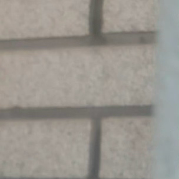 王橹杰每日一善 阳光信用 0000心存善良的人，他的言语，他的举动会像绵绵春雨般