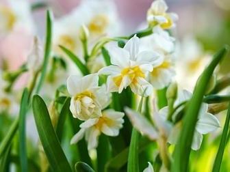 毕竟大家现在越来越注重生活品质了，就算平时不讲究这些，新年了， 也要来一束鲜花，