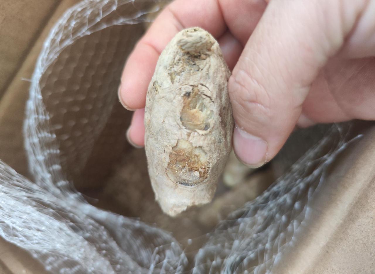 这坏了还能吃吗