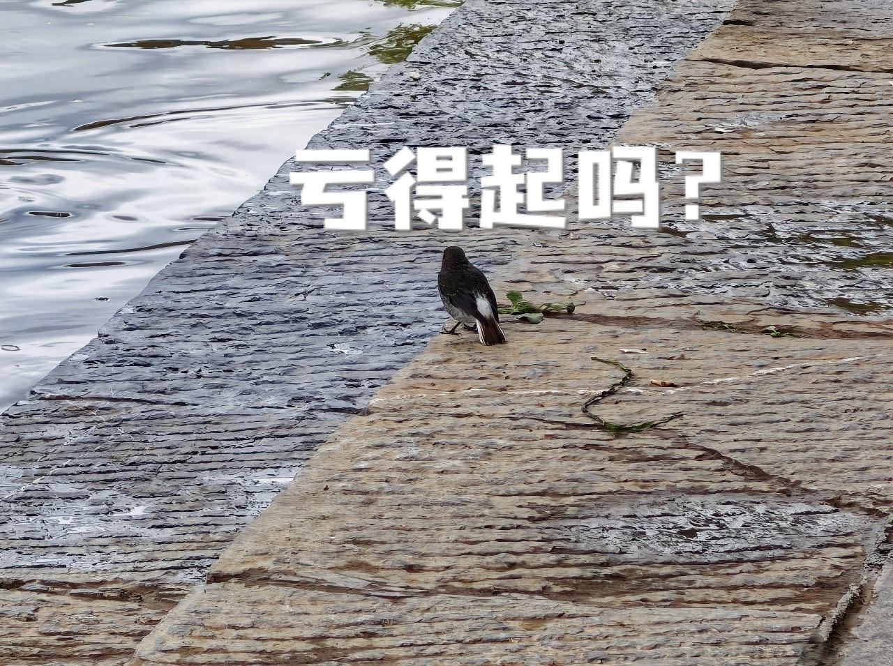 新能源车主3至5年就要换车算笔账，看看有多少人能3至5年换车，取个平均的一辆15