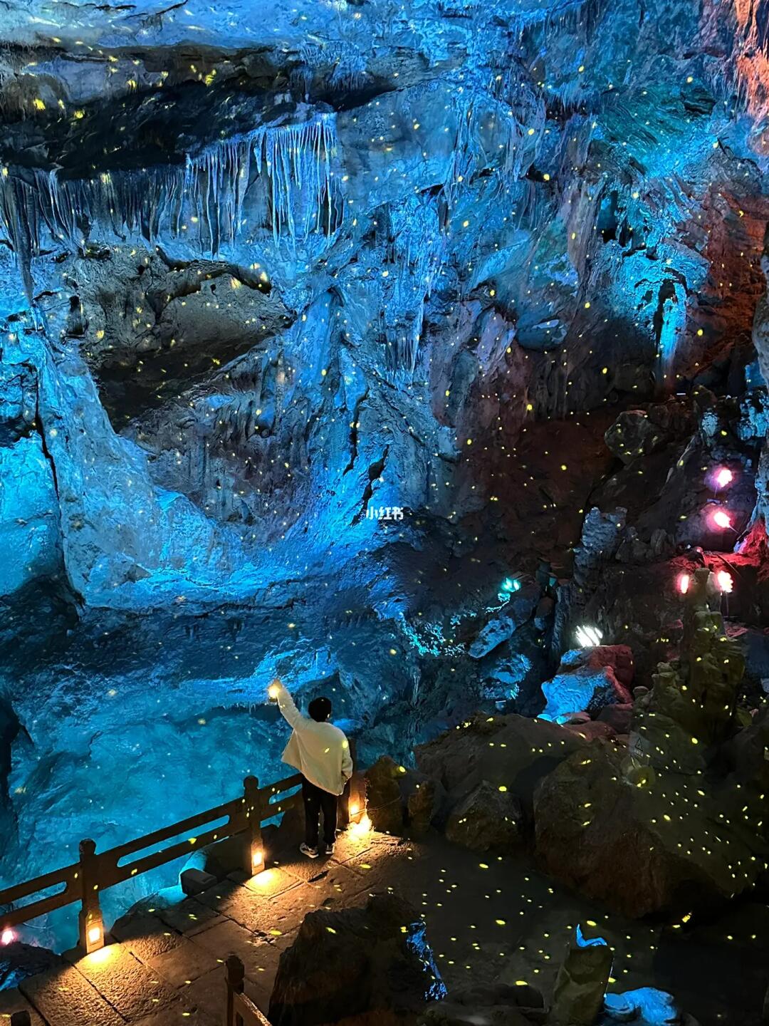 杭州冬天，竟藏着一个温暖梦幻仙境‼️|live图