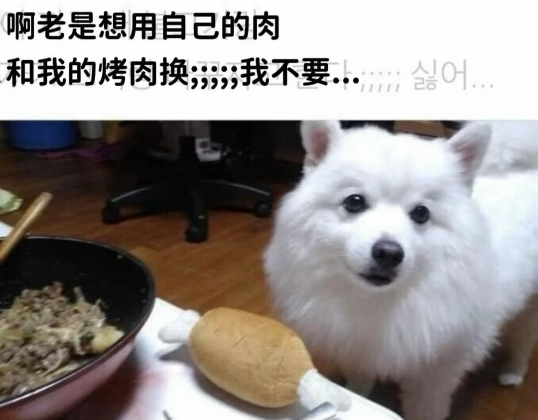 🐩今日份梗图分享