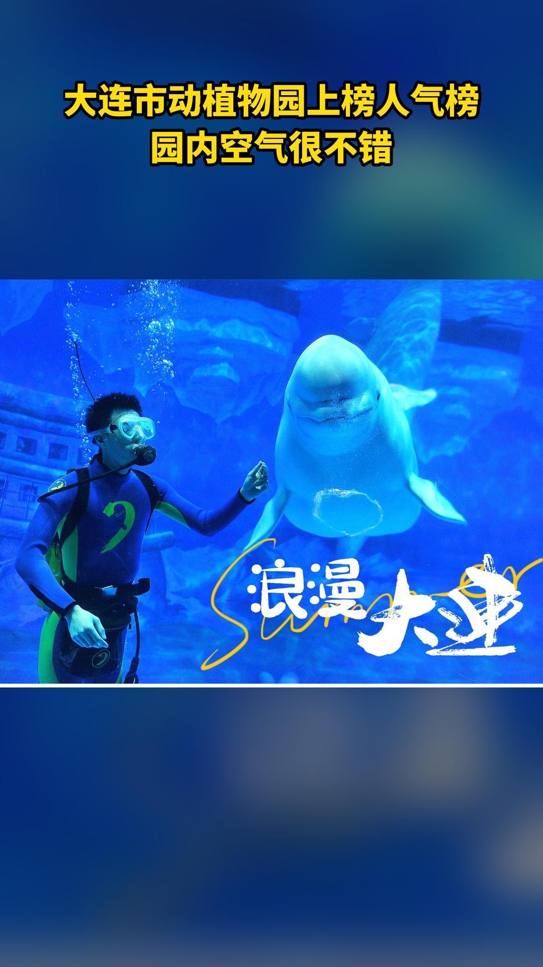 大连老虎滩极地海洋动物馆，新品上线，抢先体验，4.4分推荐，成人五馆票+飞越大连
