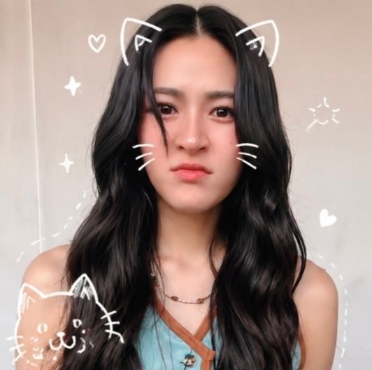 🐱or🐶？ 